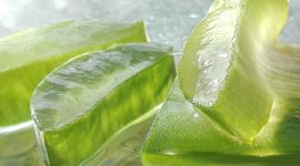 Inilah aloe vera, tanaman herbal dengan 75 senyawa aktif yang bermanfaat bagi kesehatan Anda. (Pixabay.com/mozo1901)