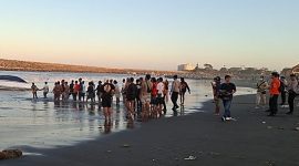 Upaya penanganan darurat peristiwa gelombang pasang yang terjadi di Kota Denpasar, Provinsi Bali. (Dok. BPBD Kota Denpasar)