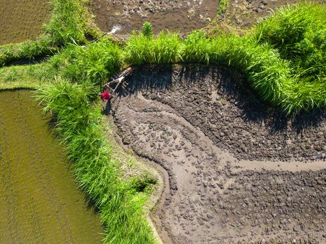 Hamparan sawah terasering di Bali yang hijau membentang luas, menunjukkan keindahan sekaligus efisiensi sistem irigasi Subak yang telah diwariskan secara turun-temurun selama berabad-abad. Jaringan saluran air yang tertata rapi ini merupakan bukti nyata kearifan lokal dalam mengelola sumber daya alam.