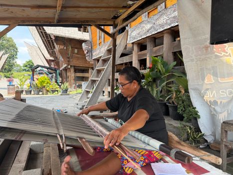Suasana Desa Tenganan Pegringsingan yang khas dengan tata letak rumah tradisionalnya, mencerminkan kehidupan masyarakat Bali Aga yang teguh menjaga warisan leluhur mereka. Para perempuan Bali Aga tampak tengah menenun kain gringsing, sebuah warisan budaya tak ternilai yang membutuhkan kesabaran dan keahlian tinggi.