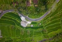 Pemandangan lorong desa tradisional Tenganan di Bali, menunjukkan arsitektur khas rumah-rumah penduduk yang berhadap-hadapan dengan material alami. Gambaran ini mencerminkan suasana tenang dan otentik dari salah satu desa Bali Aga tertua yang masih lestari.