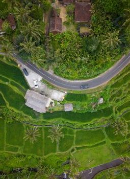 Tenganan: Desa Bali Aga yang Menjaga Tradisi Abadi di Tengah Gempuran Modernisasi