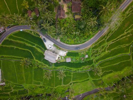 Pemandangan lorong desa tradisional Tenganan di Bali, menunjukkan arsitektur khas rumah-rumah penduduk yang berhadap-hadapan dengan material alami. Gambaran ini mencerminkan suasana tenang dan otentik dari salah satu desa Bali Aga tertua yang masih lestari.