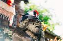 Sebuah pura kuno yang berdiri megah di Bali, menunjukkan arsitektur khas yang diyakini memiliki akar dari masa Bali Mula, mencerminkan kekayaan sejarah dan spiritualitas masyarakat terdahulu. Bangunan ini menjadi saksi bisu peradaban yang terus berkembang di Pulau Dewata.