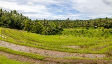 Hamparan sawah berundak yang dialiri sistem Subak di Bali, menunjukkan kearifan lokal dalam pengelolaan air yang telah diwariskan turun-temurun. Pemandangan ini tidak hanya indah, tetapi juga melambangkan harmoni antara manusia dan alam.