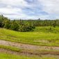 Hamparan sawah berundak yang dialiri sistem Subak di Bali, menunjukkan kearifan lokal dalam pengelolaan air yang telah diwariskan turun-temurun. Pemandangan ini tidak hanya indah, tetapi juga melambangkan harmoni antara manusia dan alam.