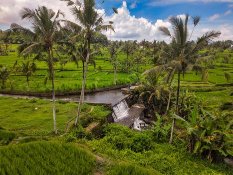 Pemandangan indah hamparan sawah bertingkat dengan sistem irigasi Subak di Bali, menunjukkan kompleksitas tata kelola air yang telah diwariskan secara turun-temurun. Saluran air yang tertata rapi mengalirkan air dari pura Subak ke setiap petak sawah, menjaga kesuburan tanah dan mendukung kehidupan masyarakat petani.